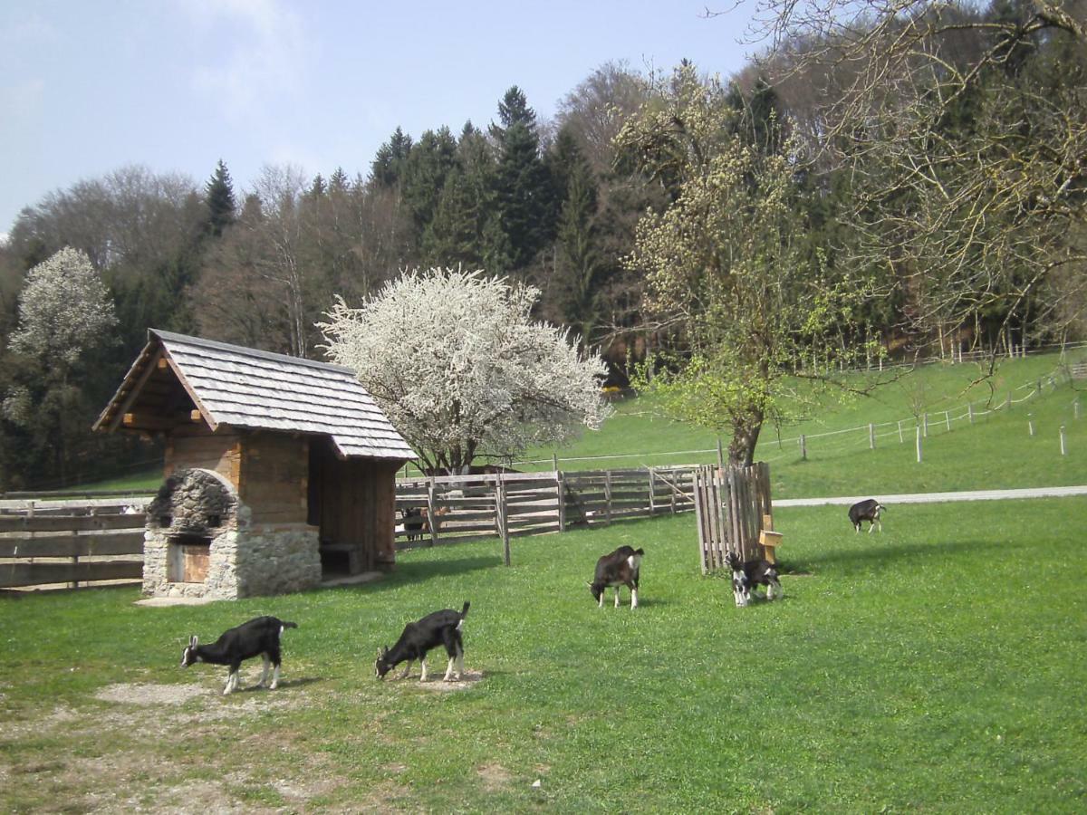 Bauernhof Kaspergut Villa Kirchberg bei Mattighofen ภายนอก รูปภาพ